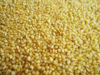 Picture of Foxtail Millets (Korralu)